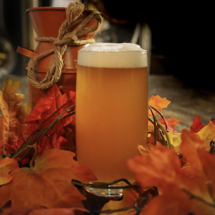 An image of Eternal Equinox, a fall IPA brewed by BriarBrothers Brewing Company in Buffalo, NY